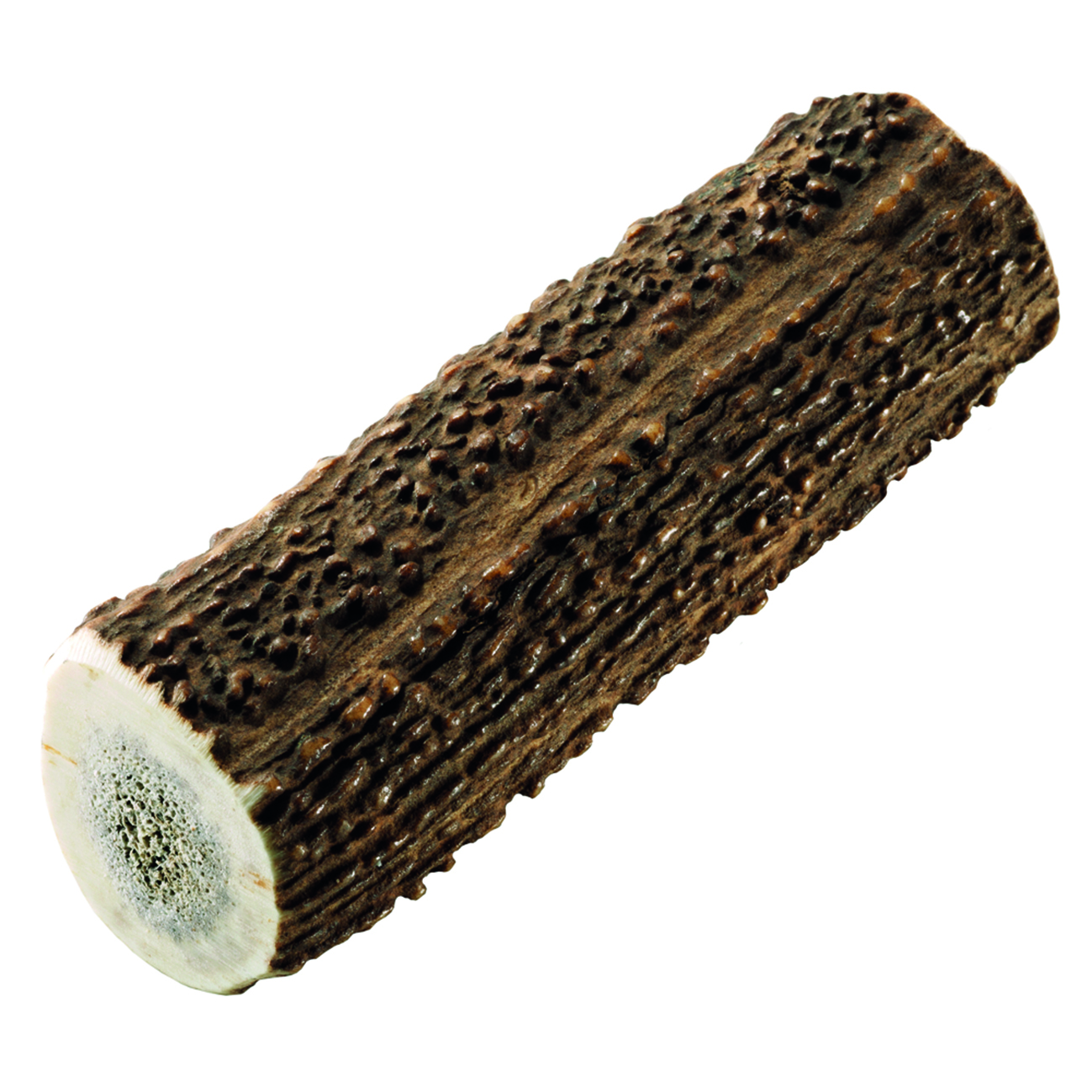 Rothirsch-Geweihstange M