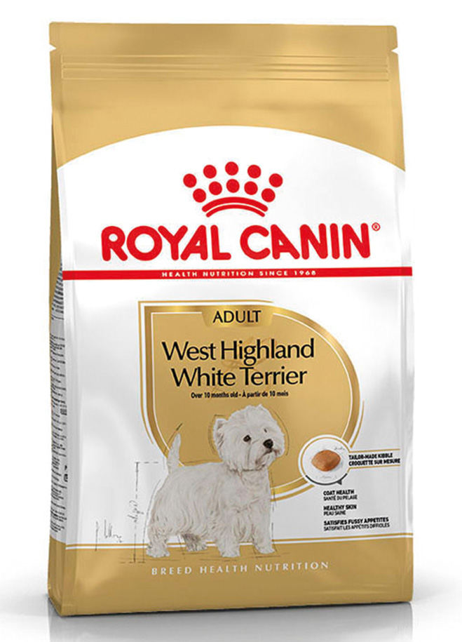 BHN West Highland White Terrier Adult