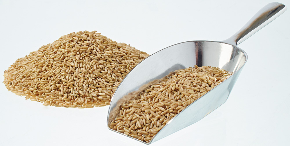 elles - Haferkerne 25kg - 1