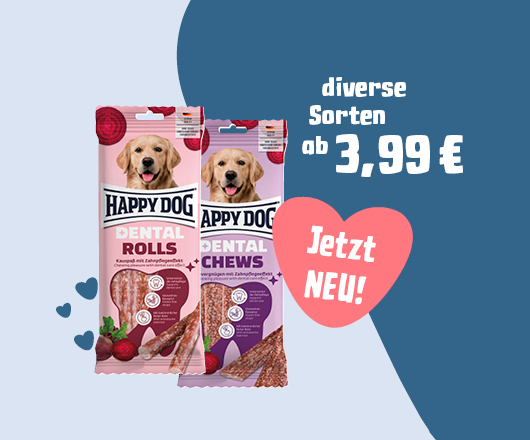 gepflegte Zähne für deinen Hund!