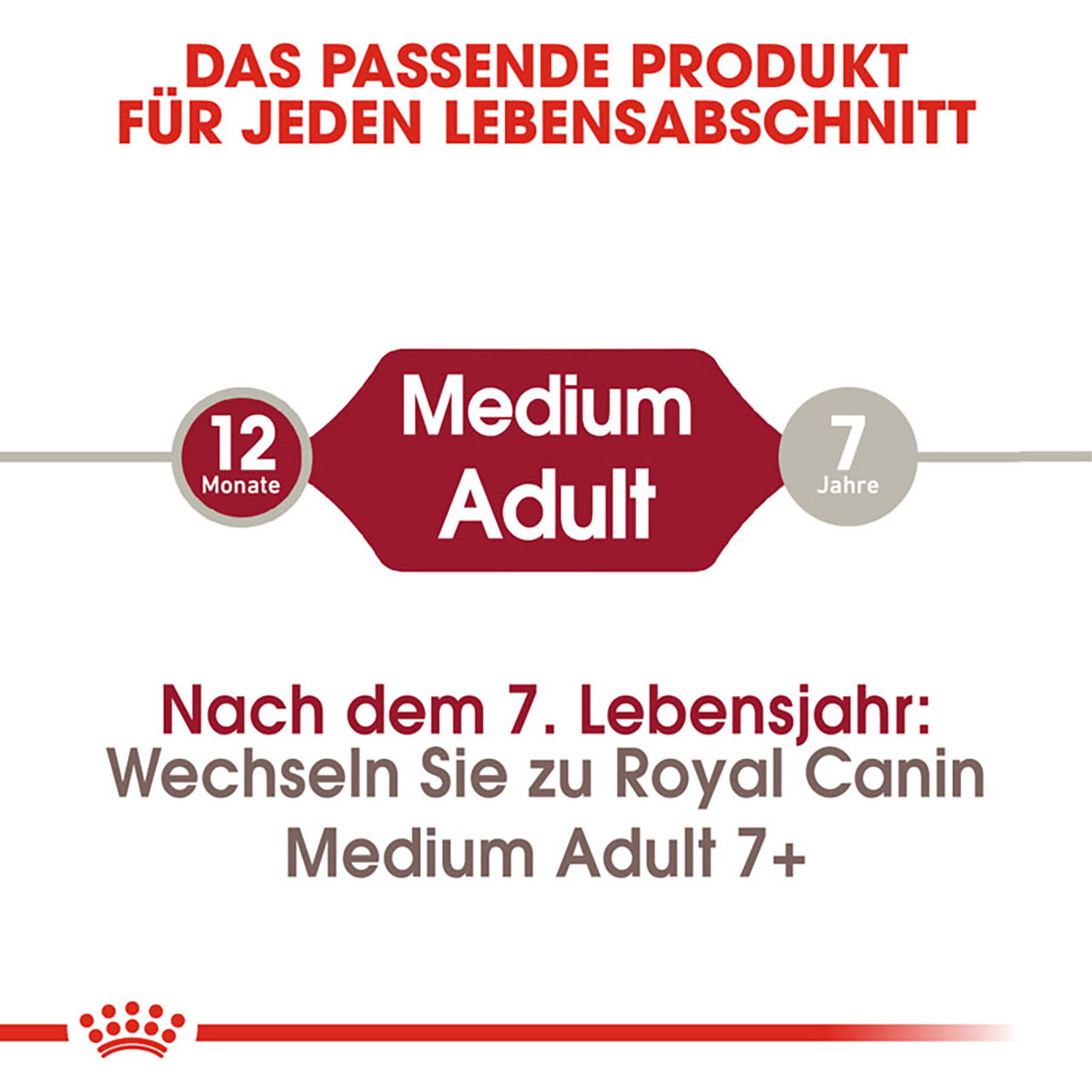 Royal Canin - SHN Medium Adult - 1 x 4kg - 2