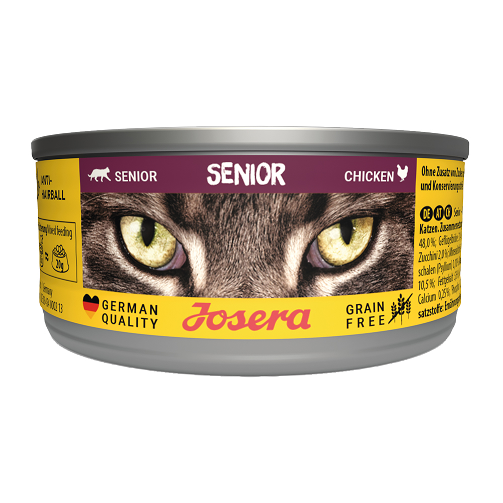 Cat Senior