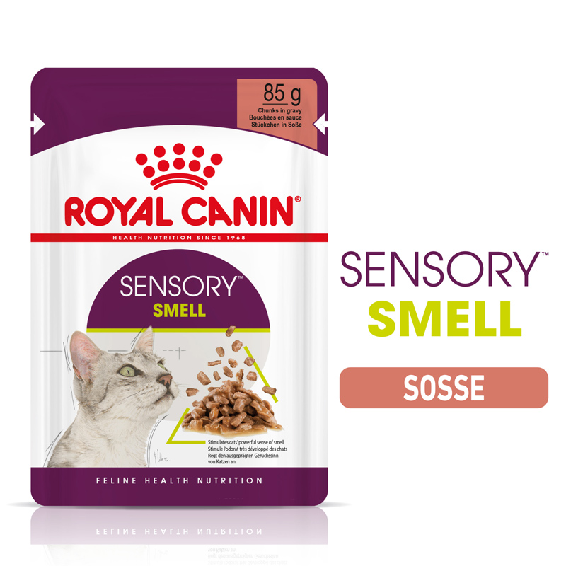 FHN Sensory SmellGravy