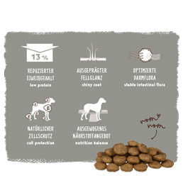 Bosch - Spezial Light - 1 x 2.5 kg - 6