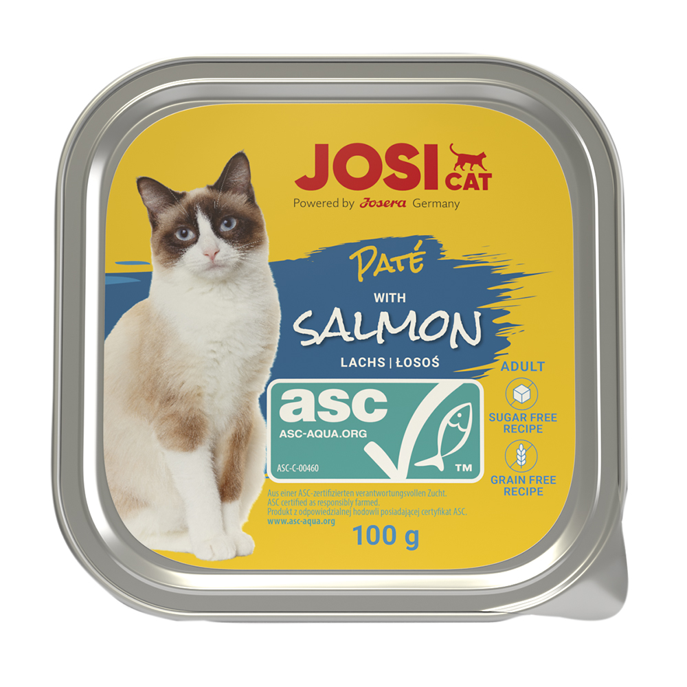 Paté mit ASC Lachs