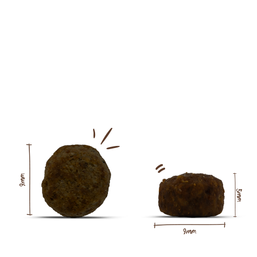 Sanabelle - Light - 1 x 10kg - 3