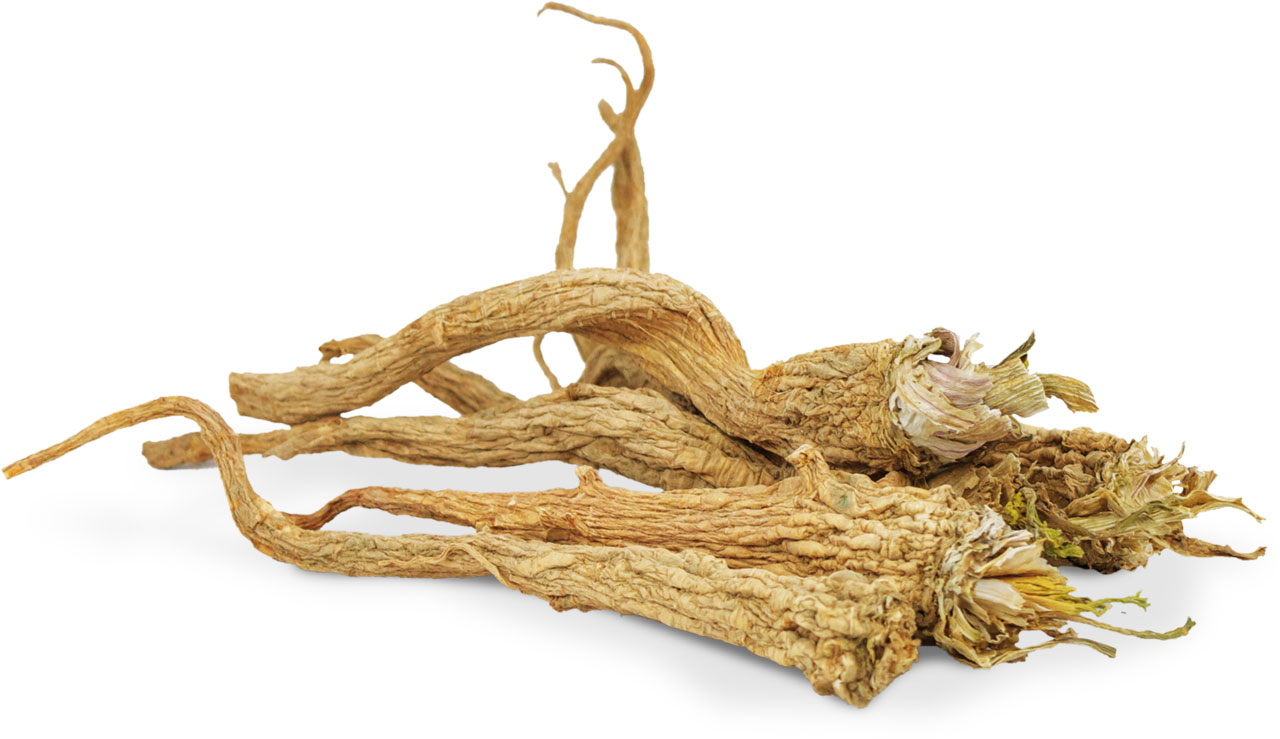 JR Farm - Petersilien-Wurzeln - 8 x 50g - 2