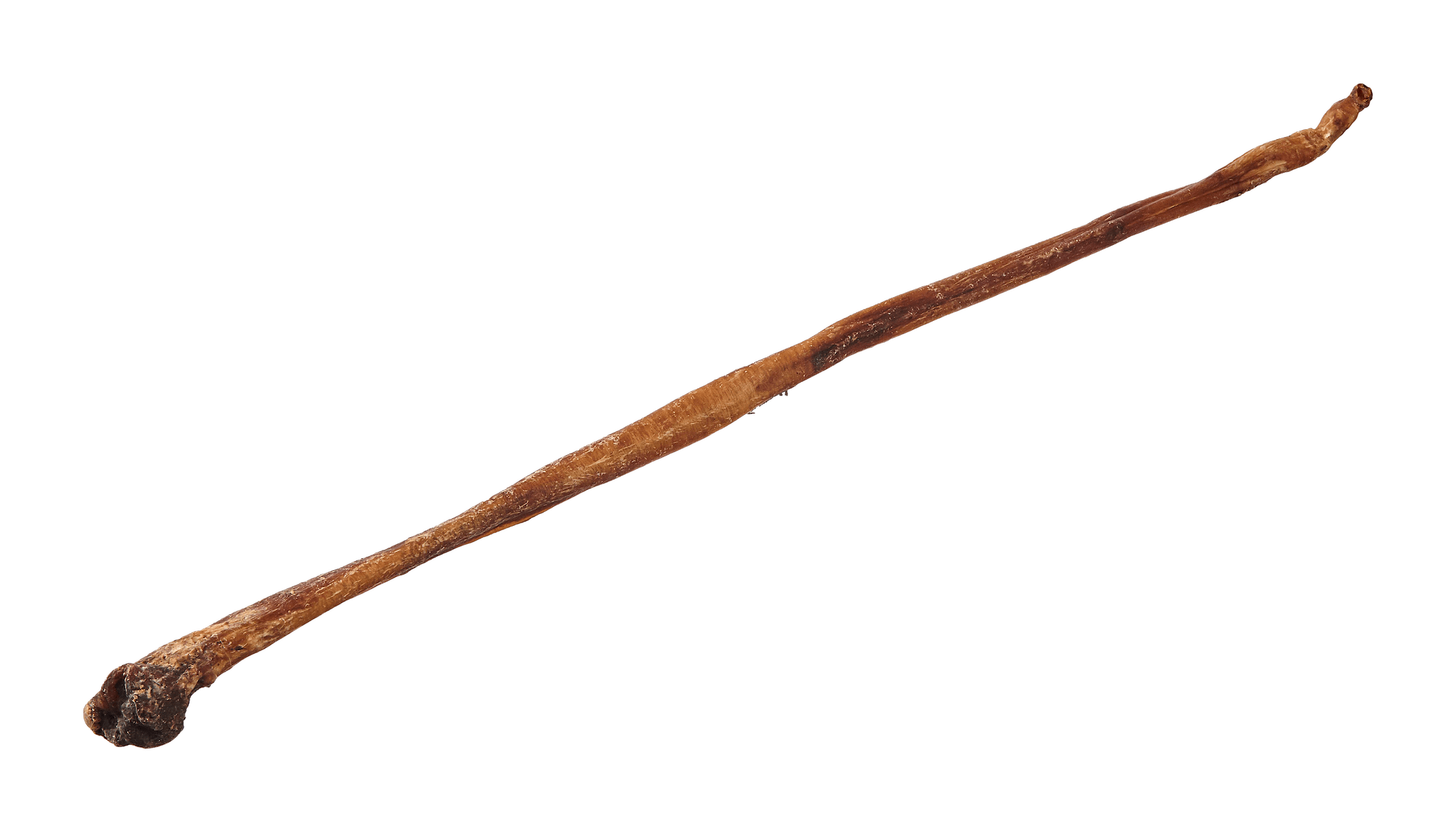 Primox Kauer Ochsenziemer 70 cm, 100g proteinreich & knackig-zäh Primox Kauer Ochsenziemer 70 cm, 100g proteinreich & knackig-zäh