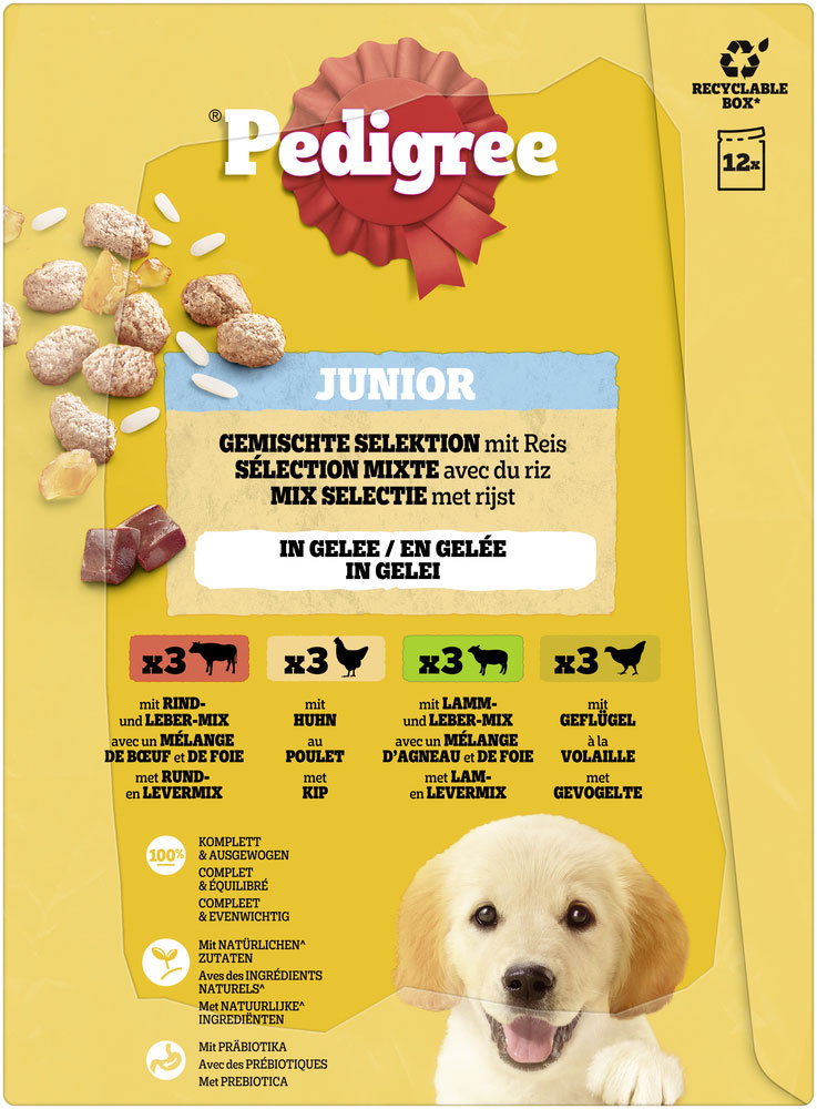 Pedigree - MP Junior in Gelee - 4 x 12X100g - 5