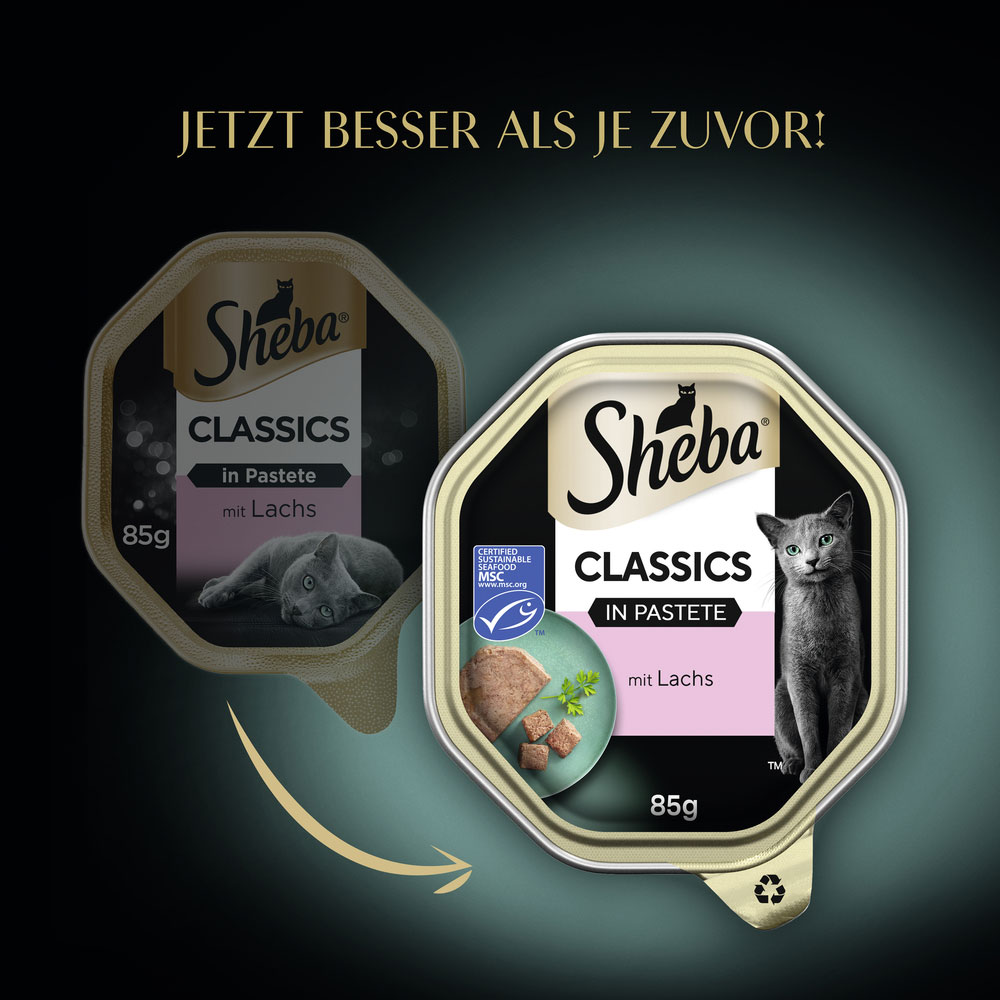Sheba - Classic Lachs MSC - 4