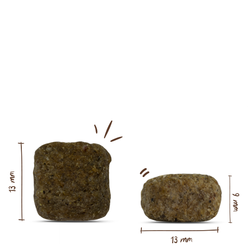 Bosch - Active - 1 x 1kg - 4