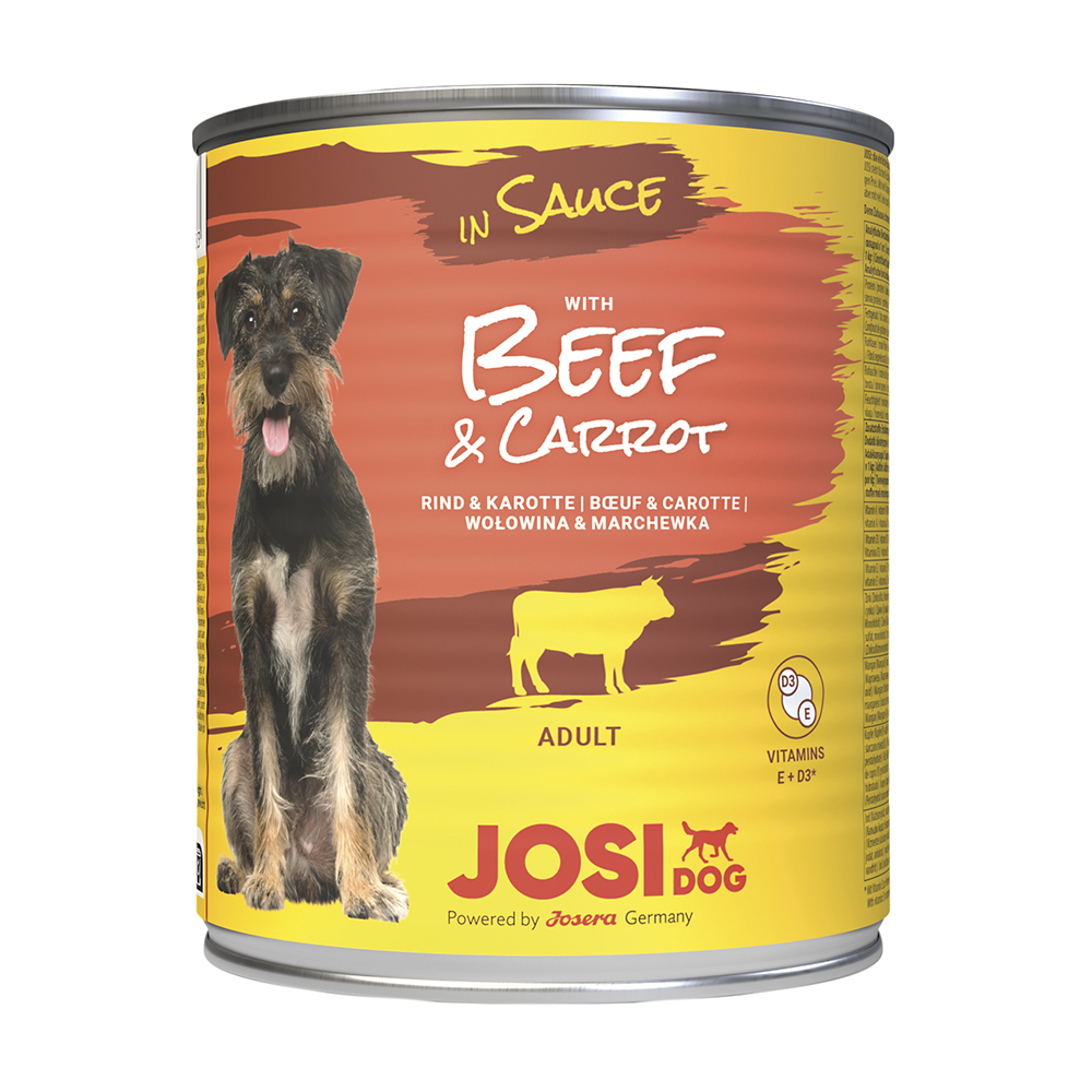 Beef & Karotte in Sauce