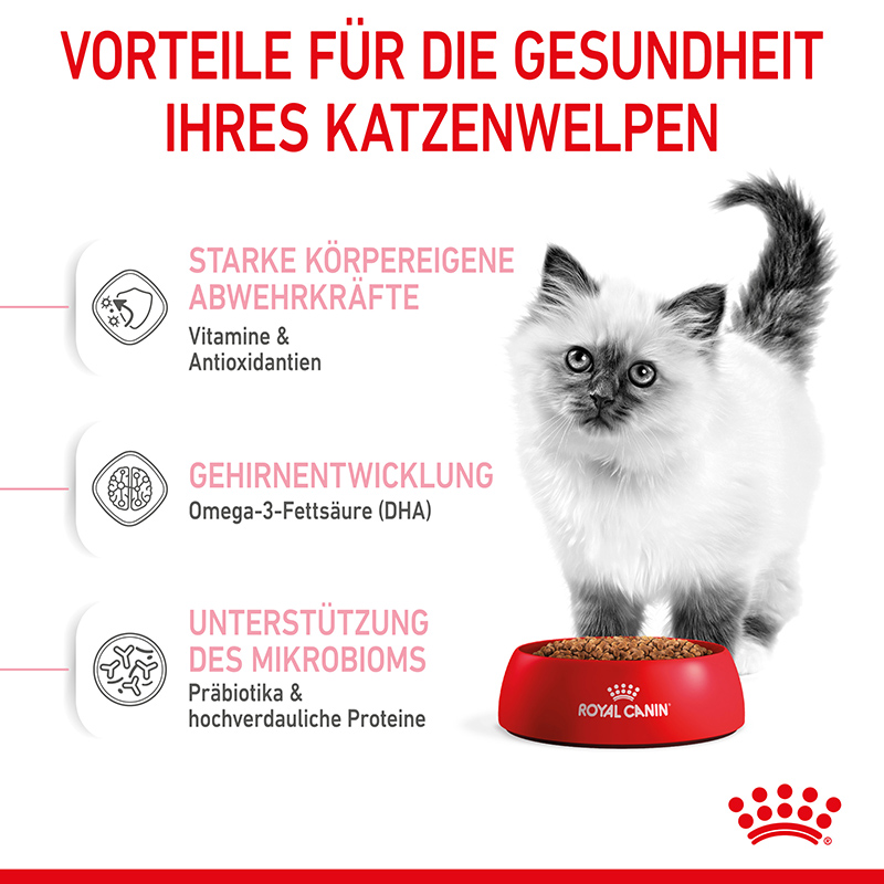Royal Canin - FHN Kitten - 1 x 0,4kg - 5