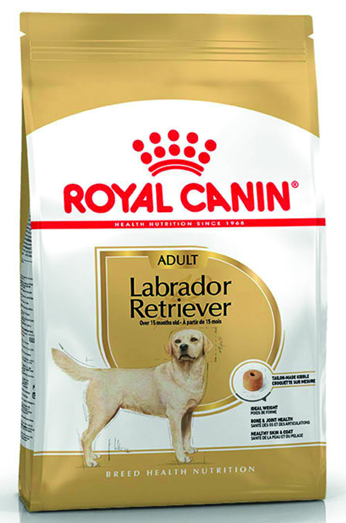 BHN Labrador RetrieverAdult