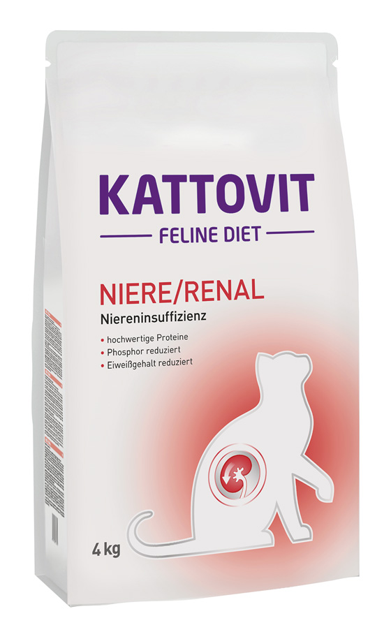 Niere/Renal