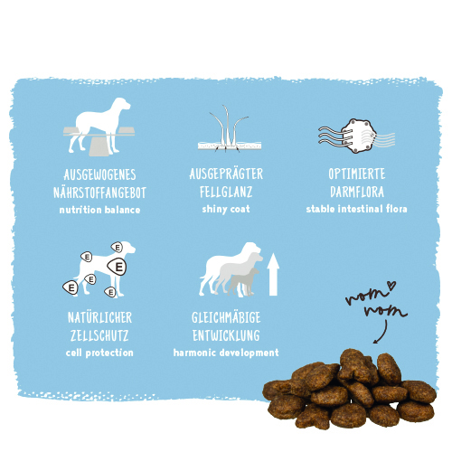 Bosch - Adult Fisch & Kartoffel - 1 x 1 kg - 8