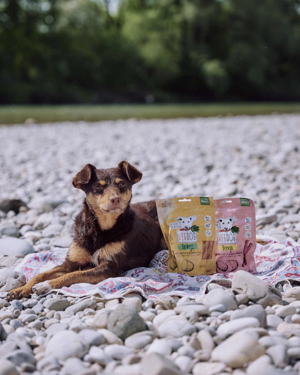 Vegdog - Jerkeys mit Karotte & Buchenrauch - 9 x 80g - 4