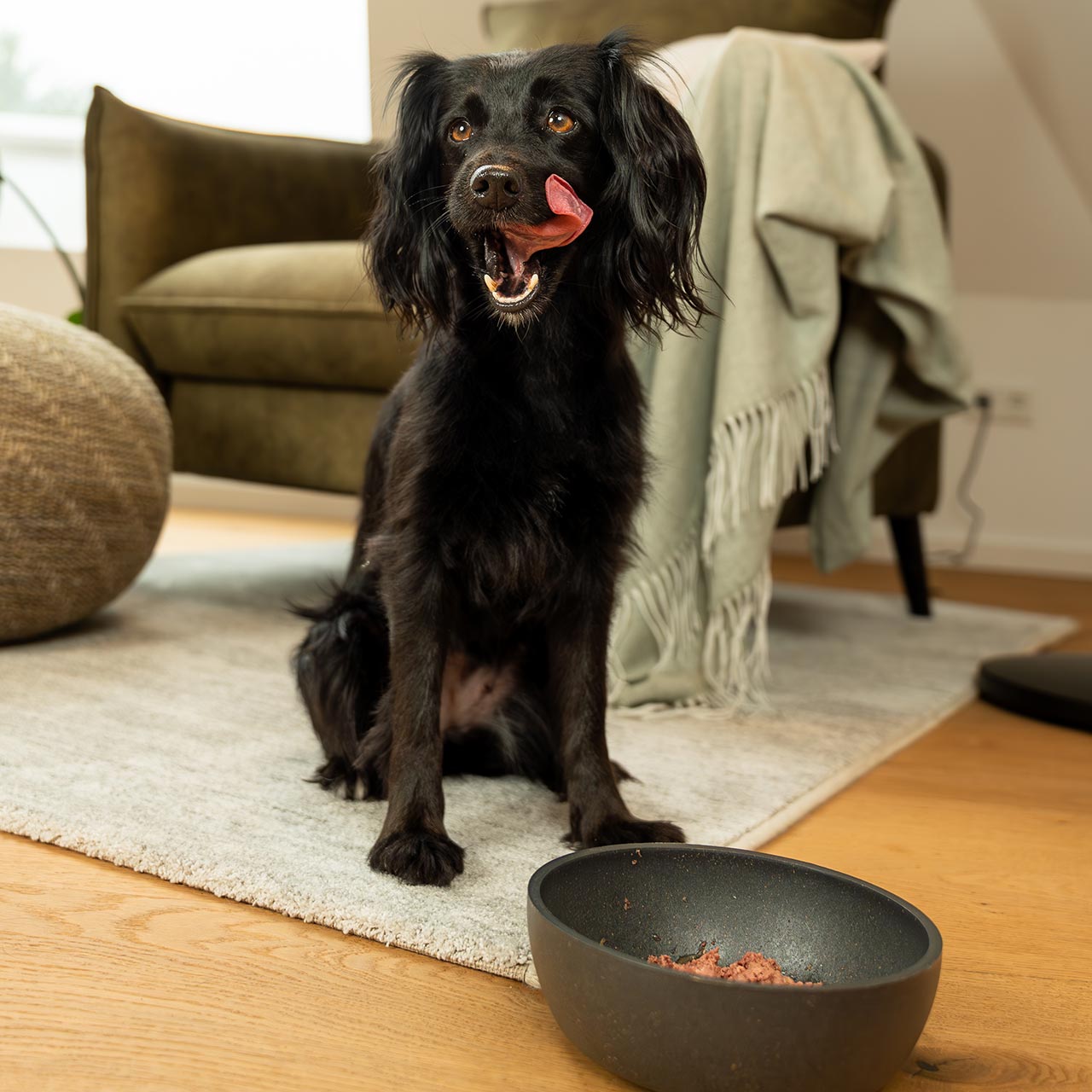 Primox - Hunde Nassfutter MENÜ mit Huhn 6 x 400G - 6 x 400 g - 5