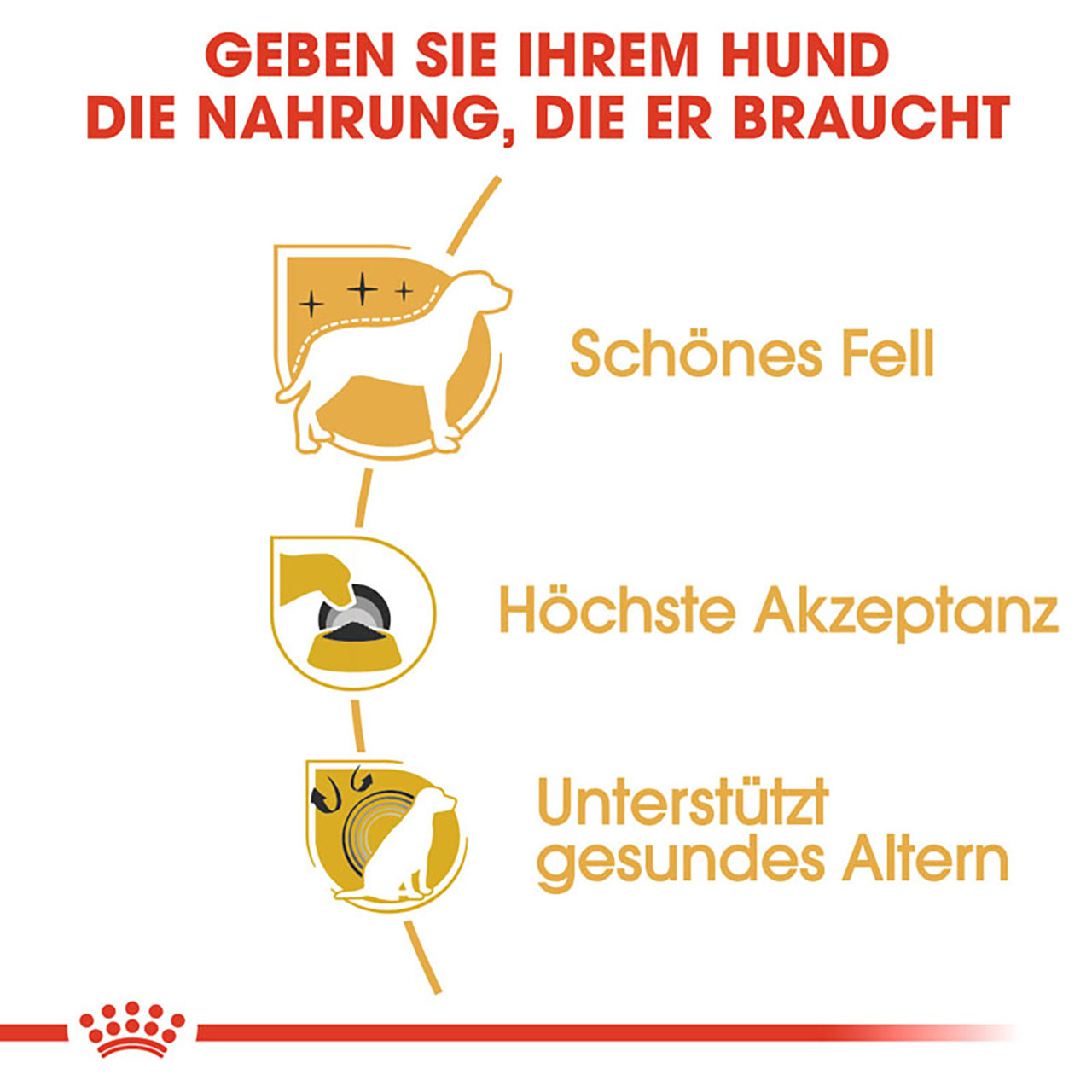 Royal Canin - BHN Yorkshire Terrier Adult - 1 x 3kg - 3