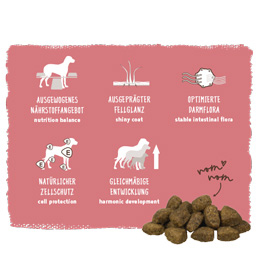 Bosch - Adult Lachs & Kartoffel - 1 x 3 kg - 3