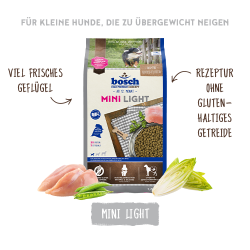 Mini Light Mini Light