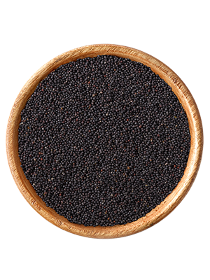 Raps 25kg