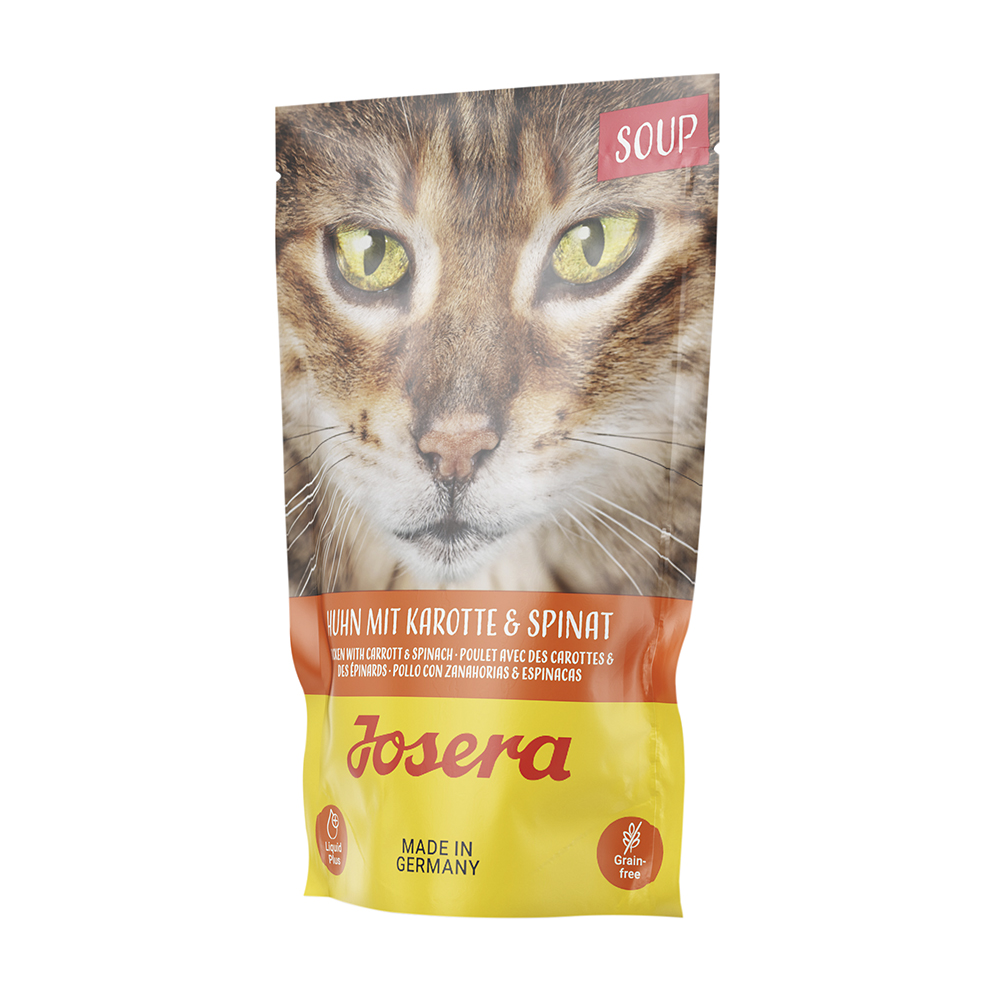 Soup Huhn mit Karotte & Spinat