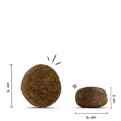 Bosch - Sensitive Ente & Kartoffel - 4