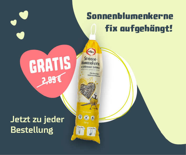 GESCHENKT zu jeder Bestellung!