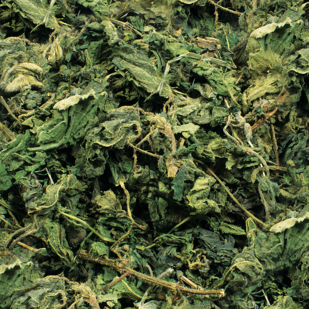 JR Farm - Brennnessel - 6 x 80 g - 2