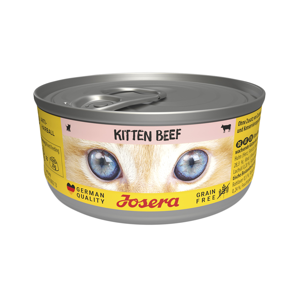 Kitten Beef