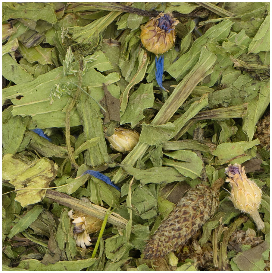 JR Farm - Spitzwegerich - 6 x 100 g - 2