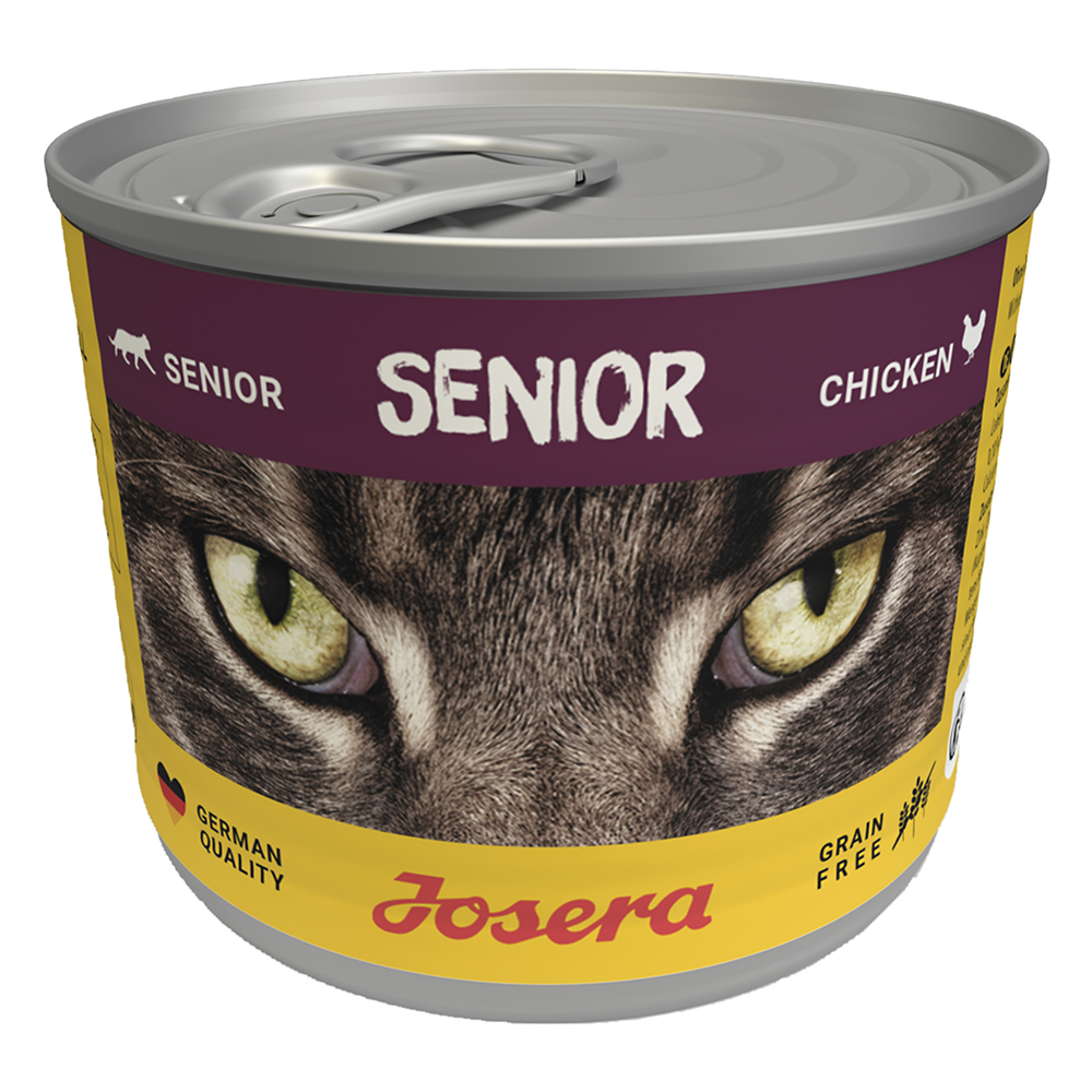 Cat Senior