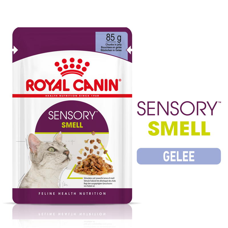 FHN Sensory Smell Jelly