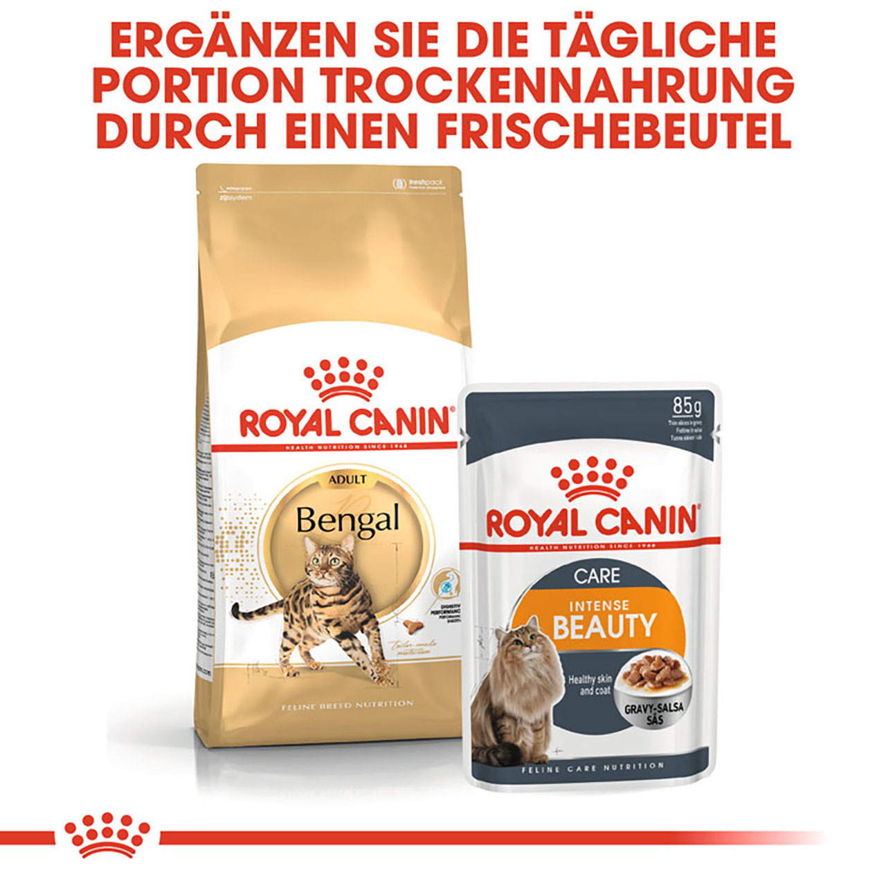 Royal Canin - FBN Bengal Adult - 1 x 10kg - 5