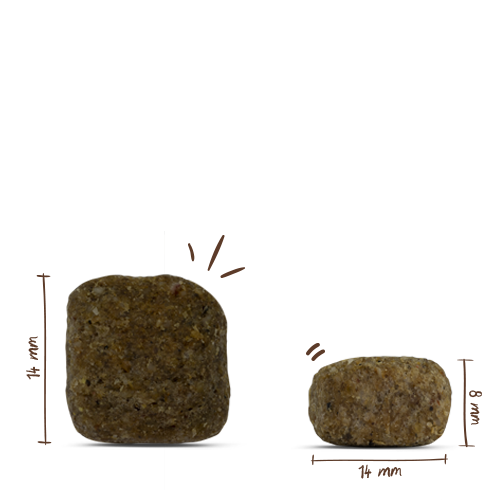 Bosch - Medium Junior - 4 x 3 kg - 6