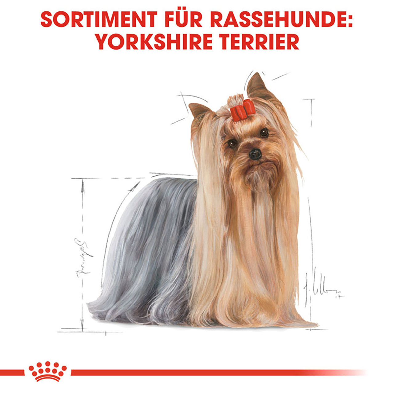 Royal Canin - BHN Yorkshire Terrier Adult - 1 x 3kg - 2