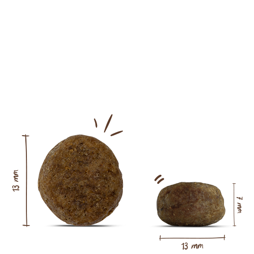 Bosch - Light - 1 x 1kg - 4