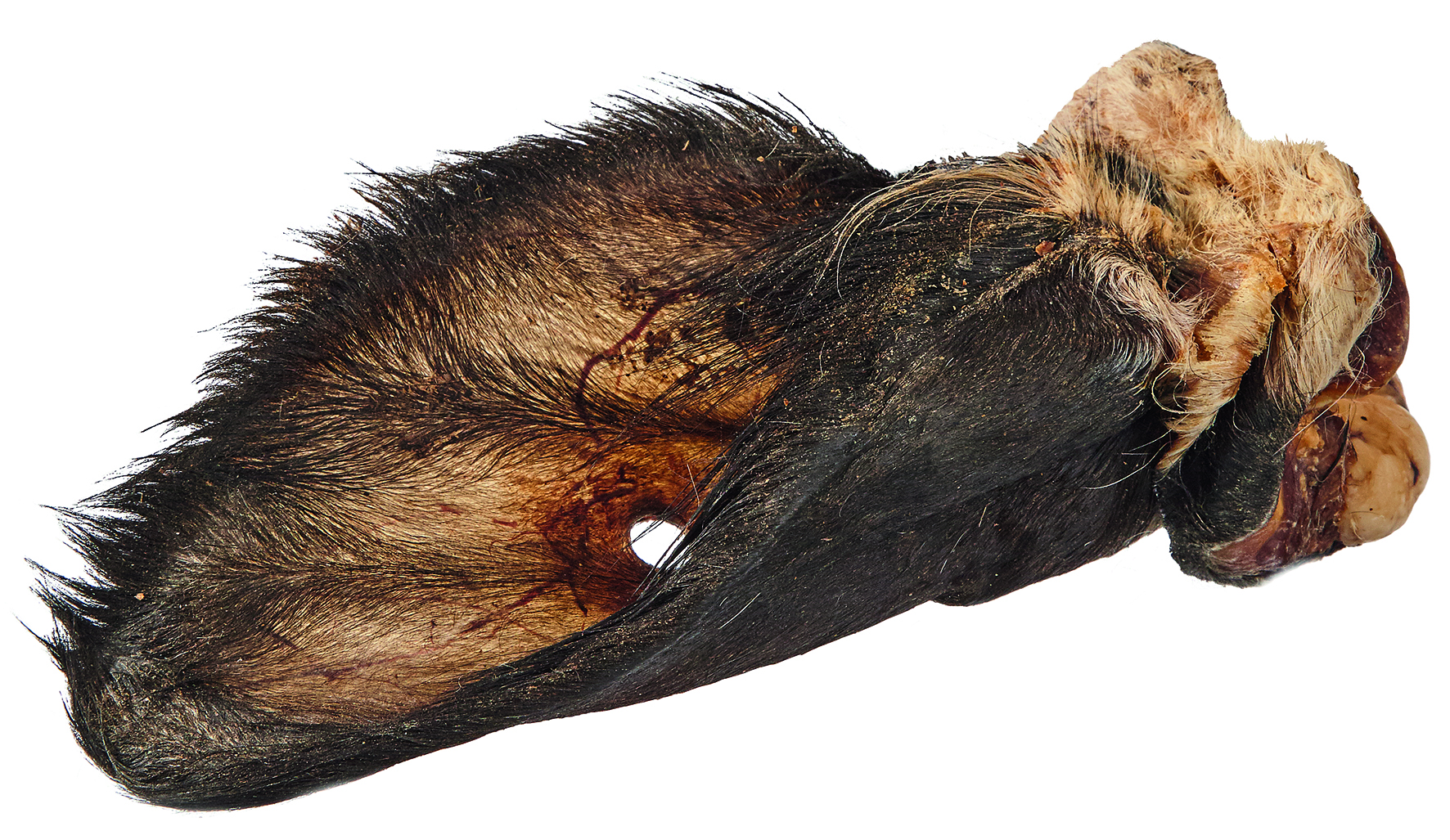 Primox - Kalbsohren mit Fell 190g - 6 x 0.1 kg - 2