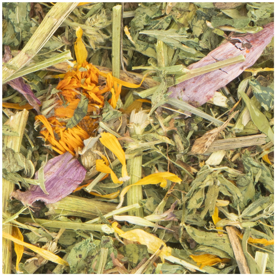 JR Farm - Sonnenhut & Luzerne-Klee - 6 x 100 g - 2