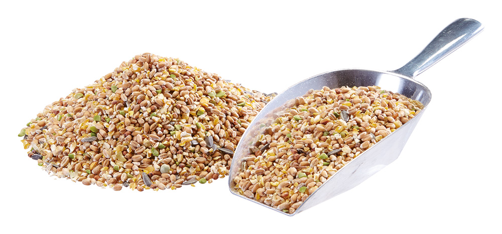 elles - Körnerfutter - 1 x 25kg - 1