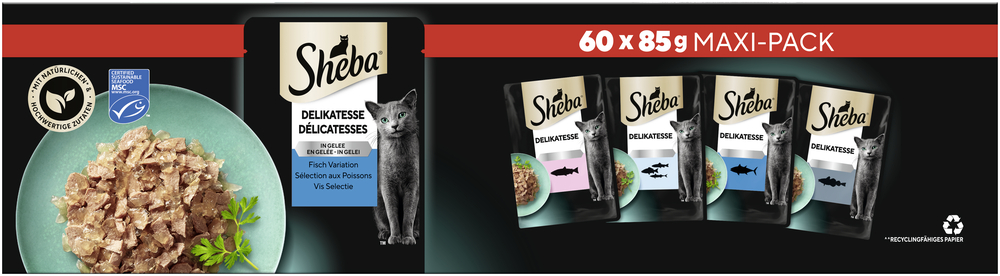 Multipack Fisch in Gelee