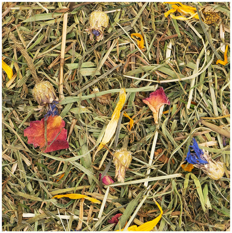 JR Farm - Blütenwiese - 6 x 100 g - 2