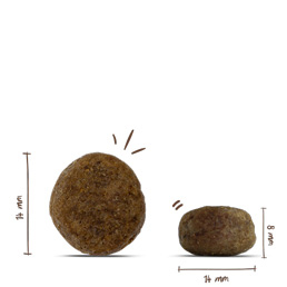 Bosch - Sensitive Ente & Kartoffel - 5 x 1 kg - 5