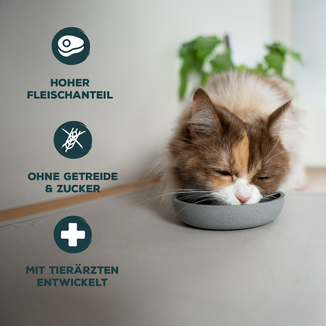 Primox - Katzenfutter Lachs Pur 6x190g - 6 x 190 g - 3