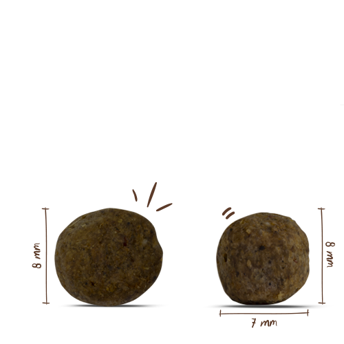 Bosch - Mini Junior - 4 x 3 kg - 11