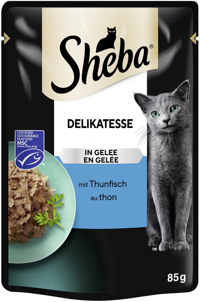 Delicatesse in Gelee mit Thunfisch