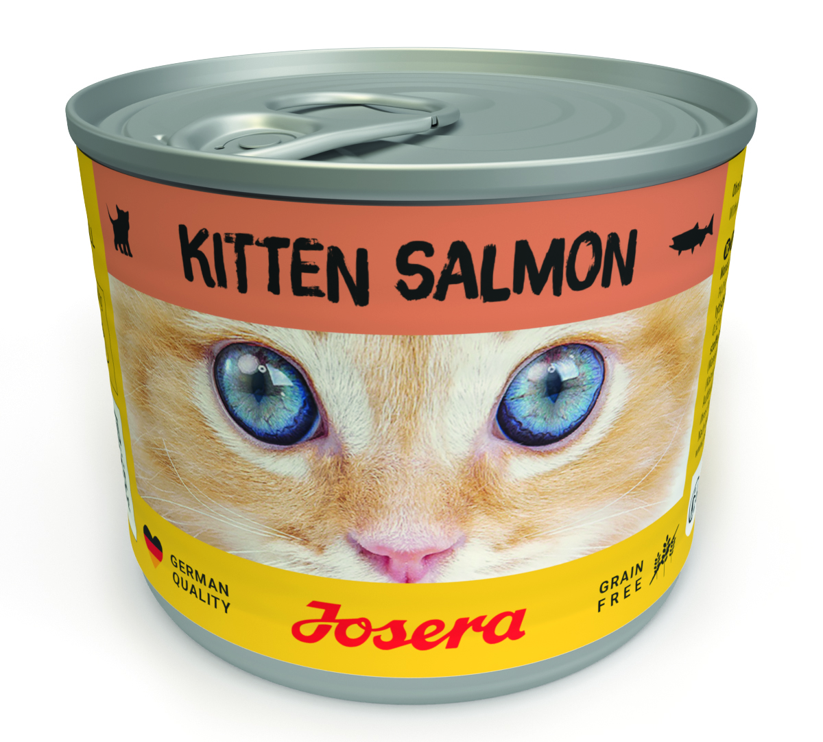 Kitten Salmon