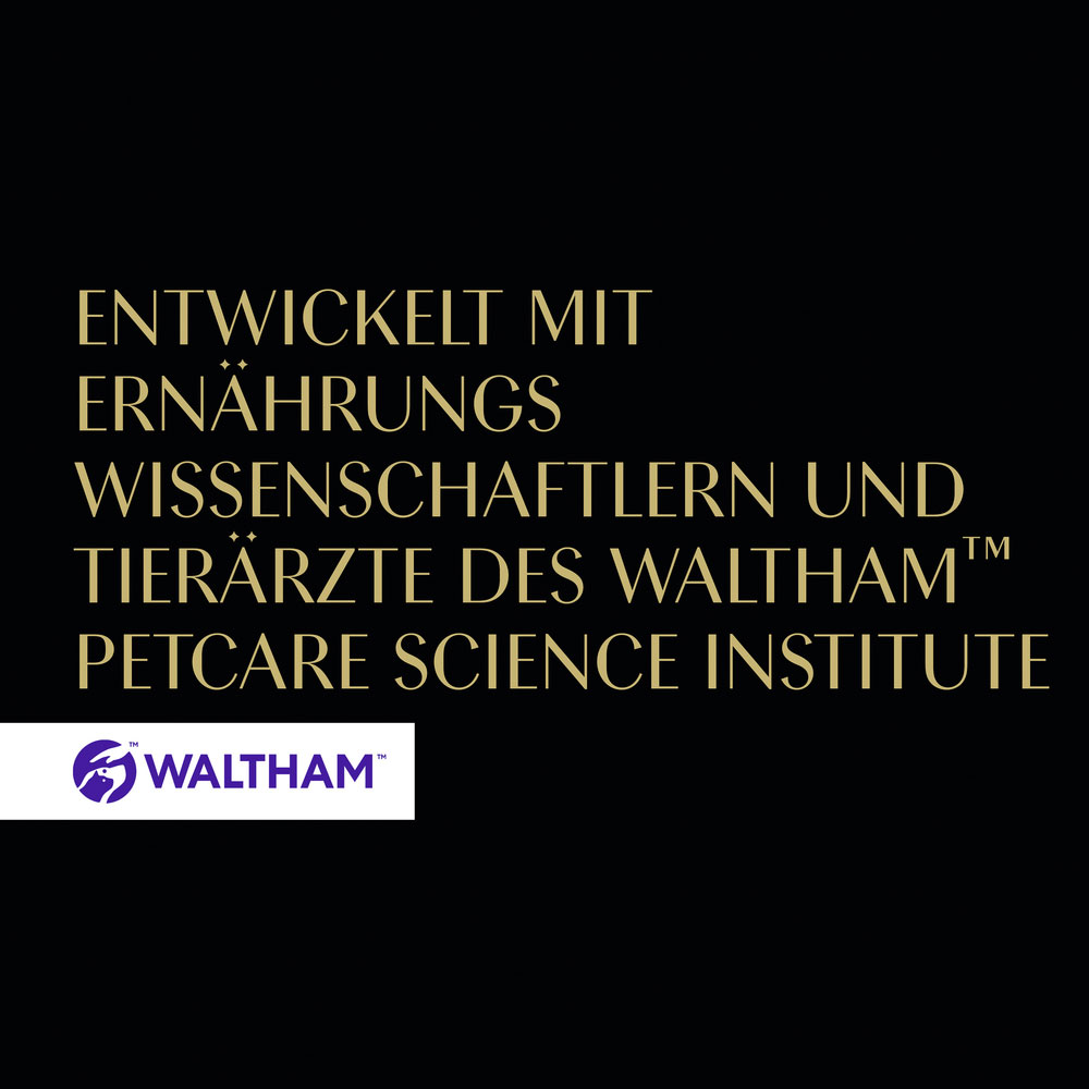 Sheba - Filets mit Weißfisch - 16 x 60 g - 3