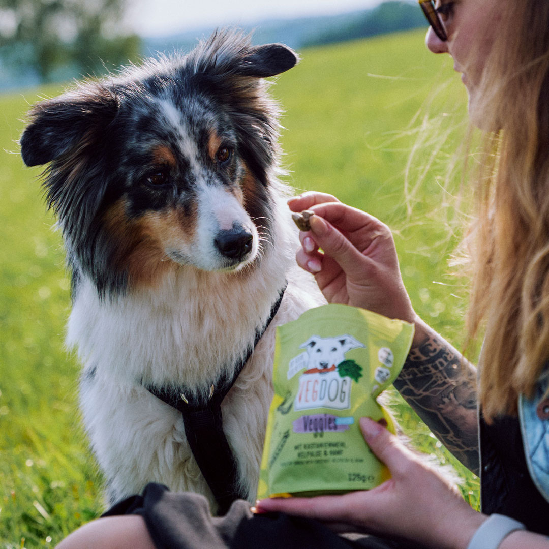 Vegdog - Veggies Skincare mit Kastanienmehl, Kelpalge & Hanf - 1 x 125g - 3